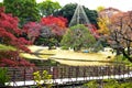 Japan historic red maple and bonsai garden Royalty Free Stock Photo